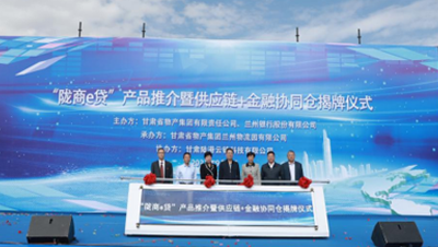 通過(guò)發(fā)行公司債券、不動(dòng)產(chǎn)投資信托基金（REITs）、培育上市公司等債權(quán)、股權(quán)融資工具和發(fā)起設(shè)立產(chǎn)業(yè)基金，拓寬多元化融資渠道；提供貨物在途監(jiān)管和在庫(kù)監(jiān)管，引入銀行、信托等金融機(jī)構(gòu)，開(kāi)展倉(cāng)單質(zhì)押、保理等業(yè)務(wù)；逐步拓展B2B供應(yīng)鏈服務(wù)平臺(tái)服務(wù)范圍，通過(guò)倉(cāng)配一體化、“隴易商”、供應(yīng)鏈+金融為區(qū)域流通行業(yè)及相關(guān)產(chǎn)業(yè)客戶(hù)提供“四流合一”的完整供應(yīng)鏈服務(wù)解決方案。