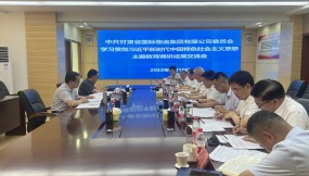  扎實做好調(diào)研成果轉(zhuǎn)化 推動主題教育走深見效 ——甘肅物流集團(tuán)全面完成主題教育調(diào)研成果交流
